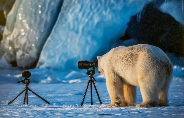 LOL Luonto on laiffii 2019