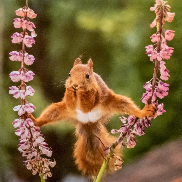 LOL Luonto on laiffii 2019