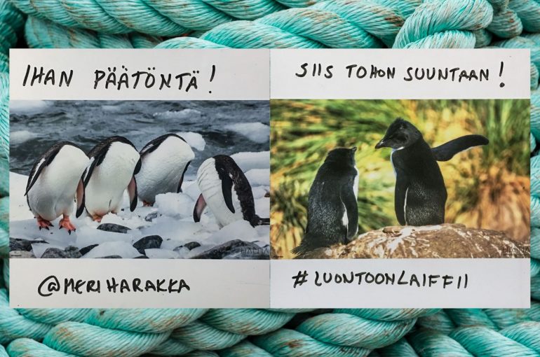 LOL Luonto on laiffii 2019