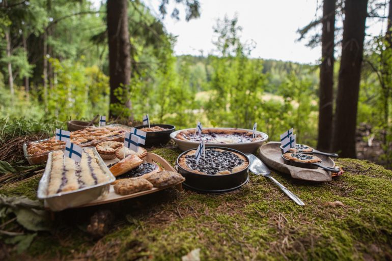 Mustikkapiirakkaa luonnossa