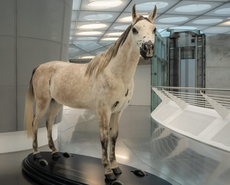 Hevosista autoihin Stuttgart