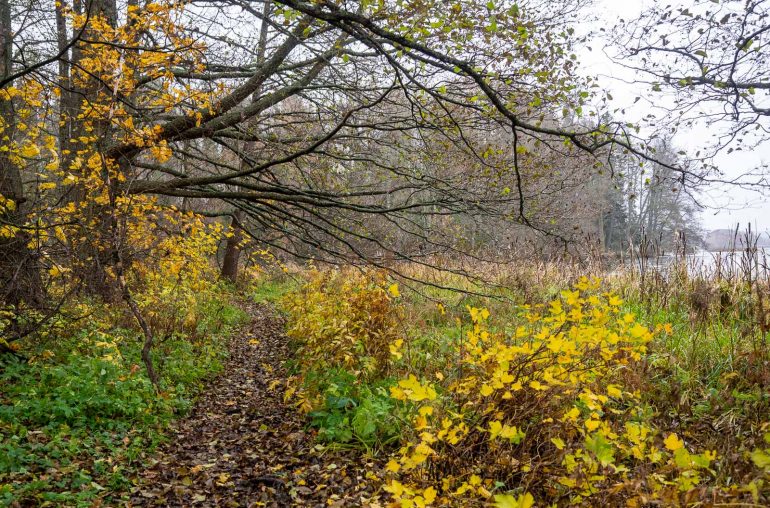 Mustio Linna lokakuu