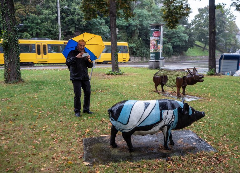 Sikamuseo Schweinemuseum