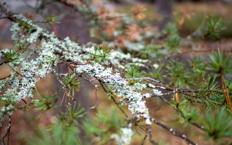 Marraskuu Espoo Matkan lähtövalmistelut
