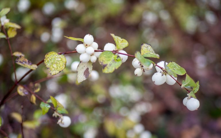Marraskuu Espoo Matkan lähtövalmistelut