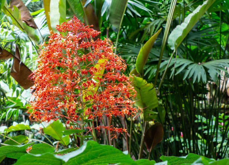 Puerto Viejo Costa Rica