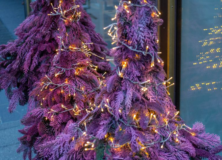 Helsinki joulupäivänä 2019