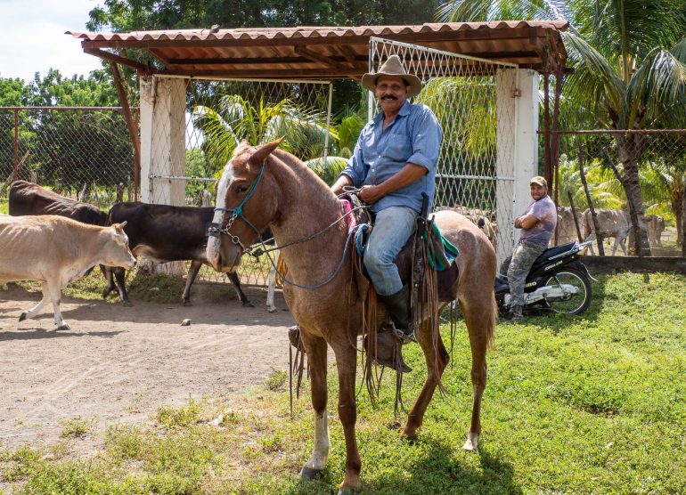 Lehmipaimen Nicaragua