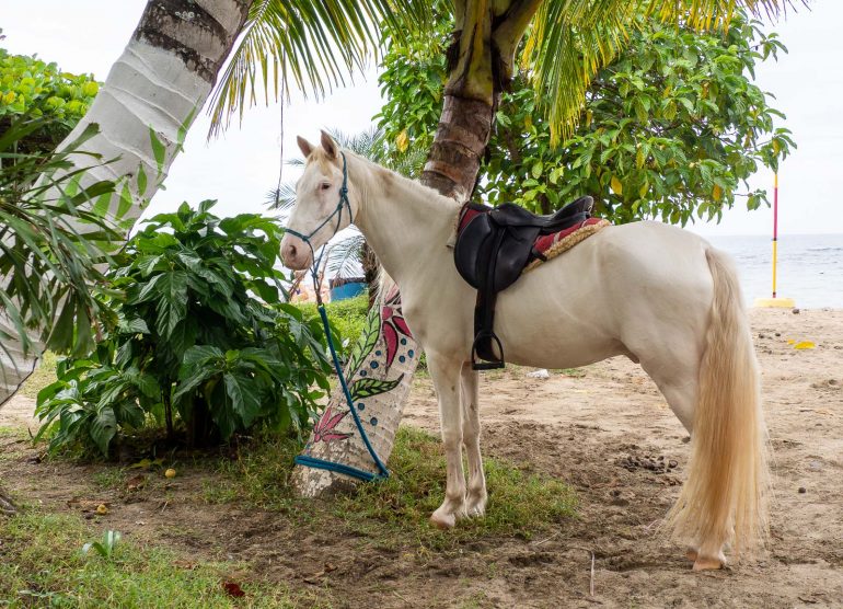 Puerto Viejo Costa Rica