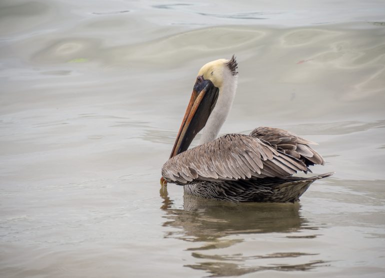 Puerto Viejo Costa Rica