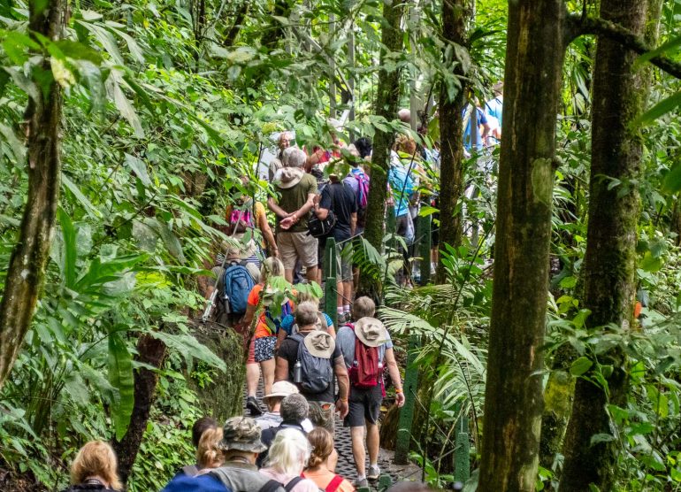 Mistico riippusillat