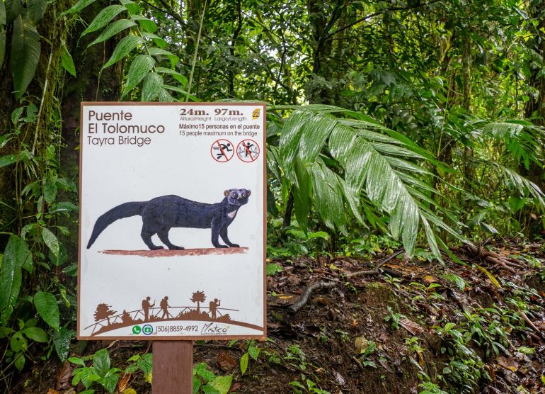 Mistico riippusillat