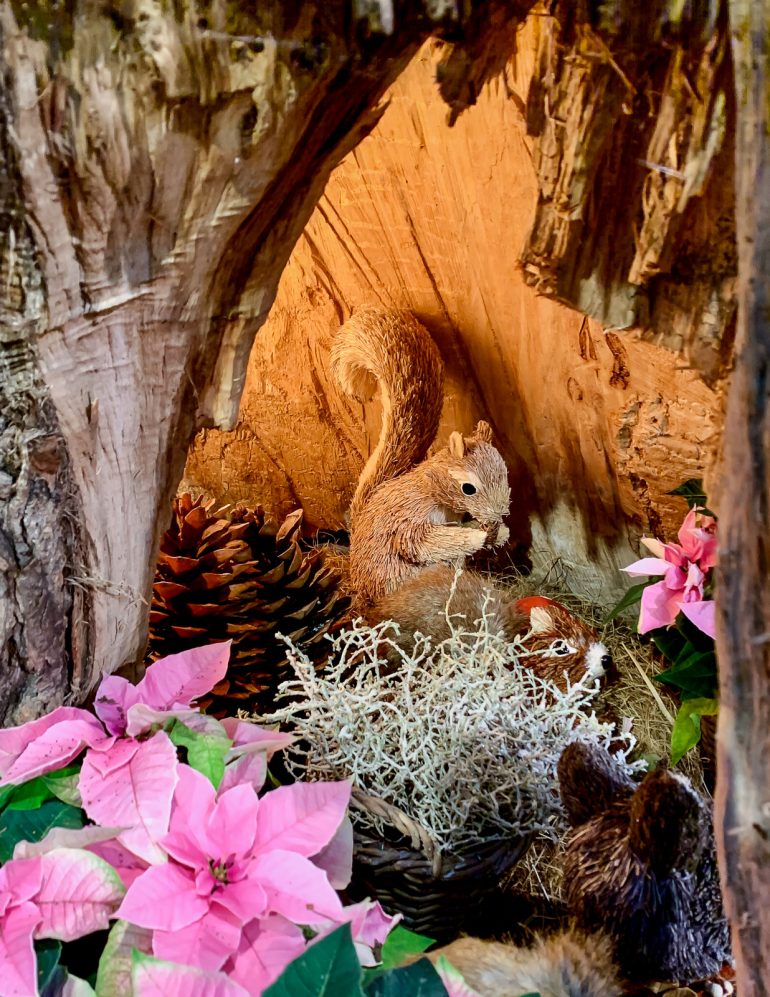 Talvipuutarhan joulueläimet