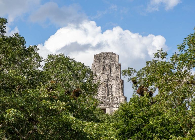 Temppeli III Tikalin mayaraunioilla