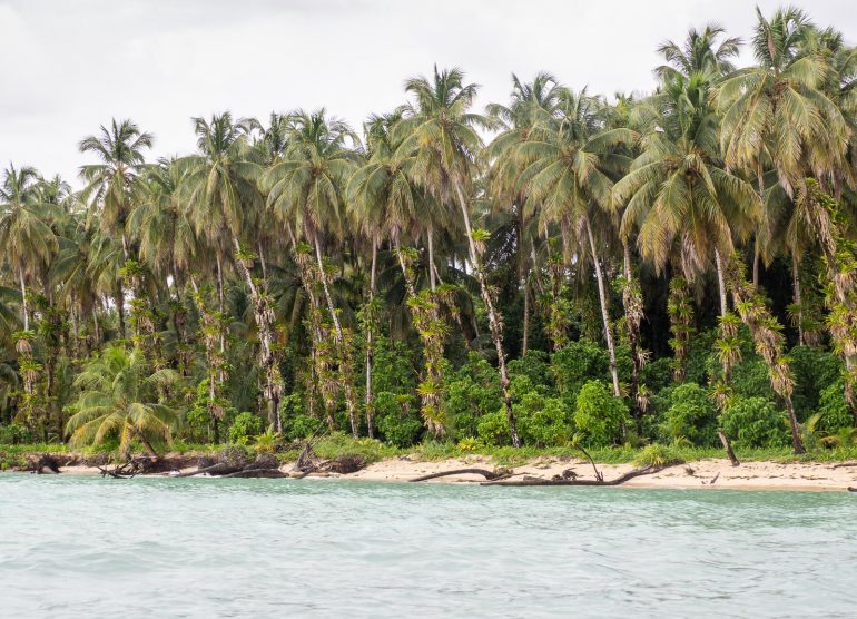 Zapadilla Bocas del Toro Panama