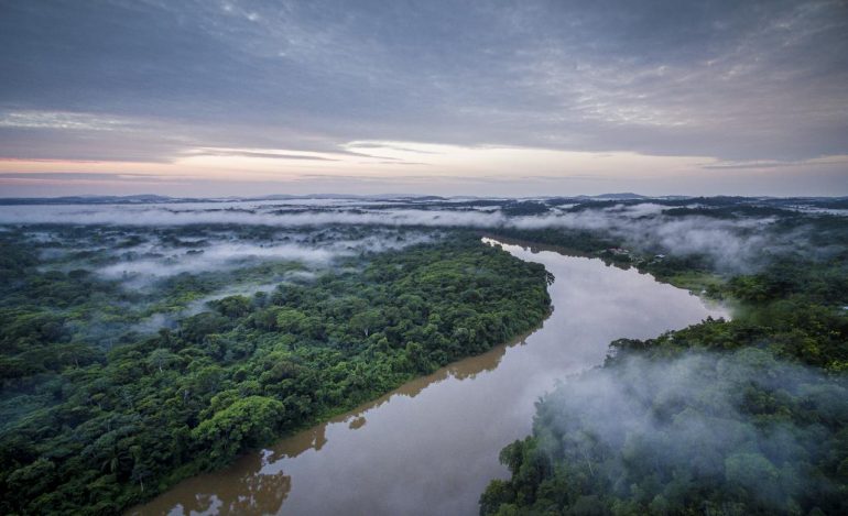 Suriname Kevään 2020 matkasuunnitelmat