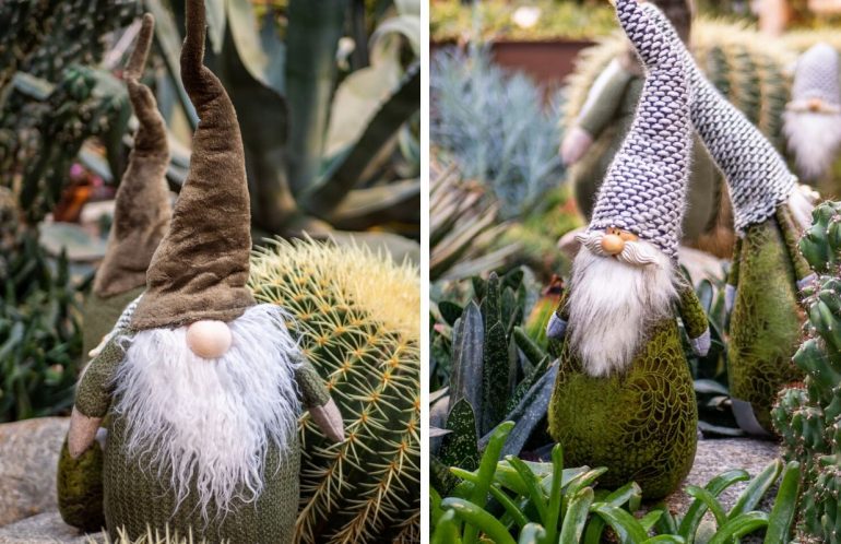 Talvipuutarhan tontut