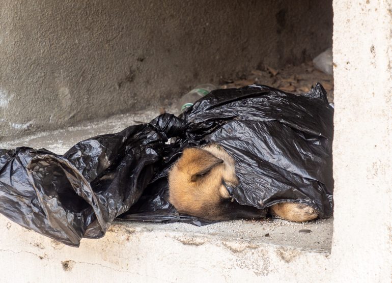 Guatemala hautausmaa