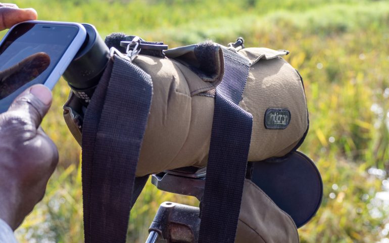 Linturetkellä Gambiassa