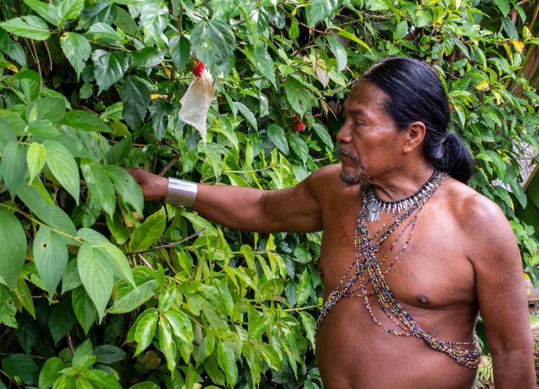 Embera-heimo Panama