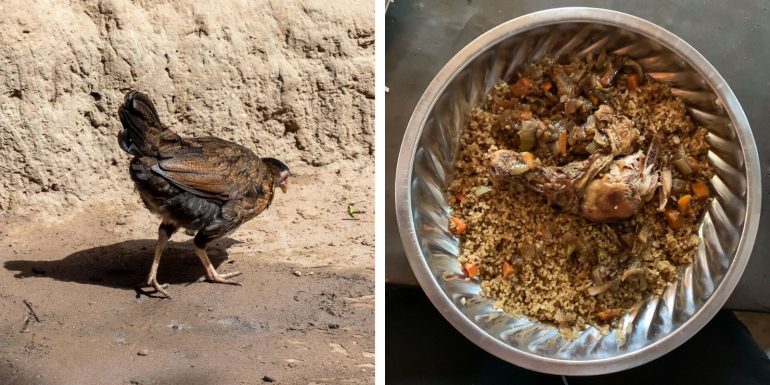 Kana ja kanaa lautasella