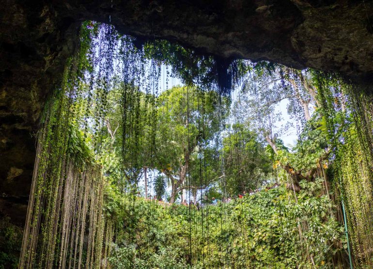 Ik Kil cenote Yukatan