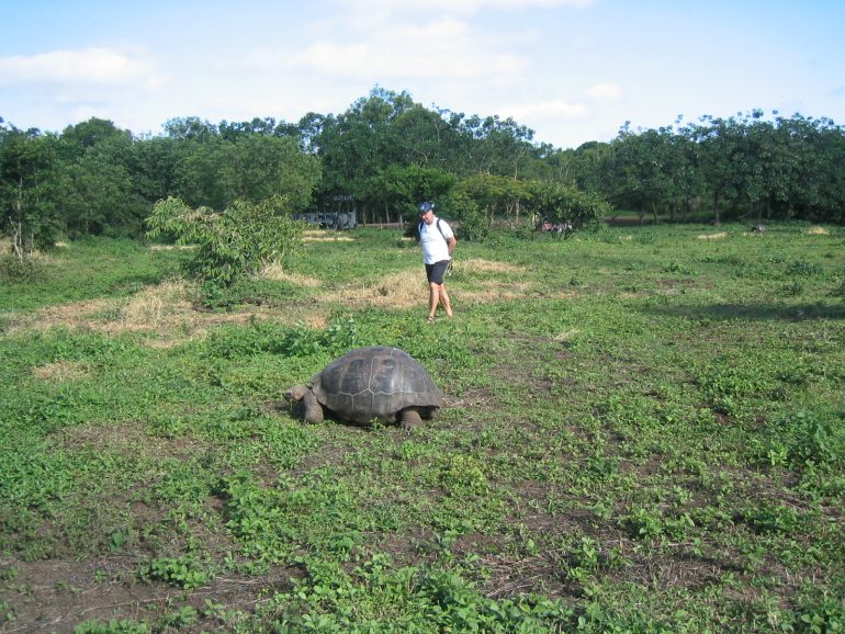 Galapagos Kannattaa lähteä kauas
