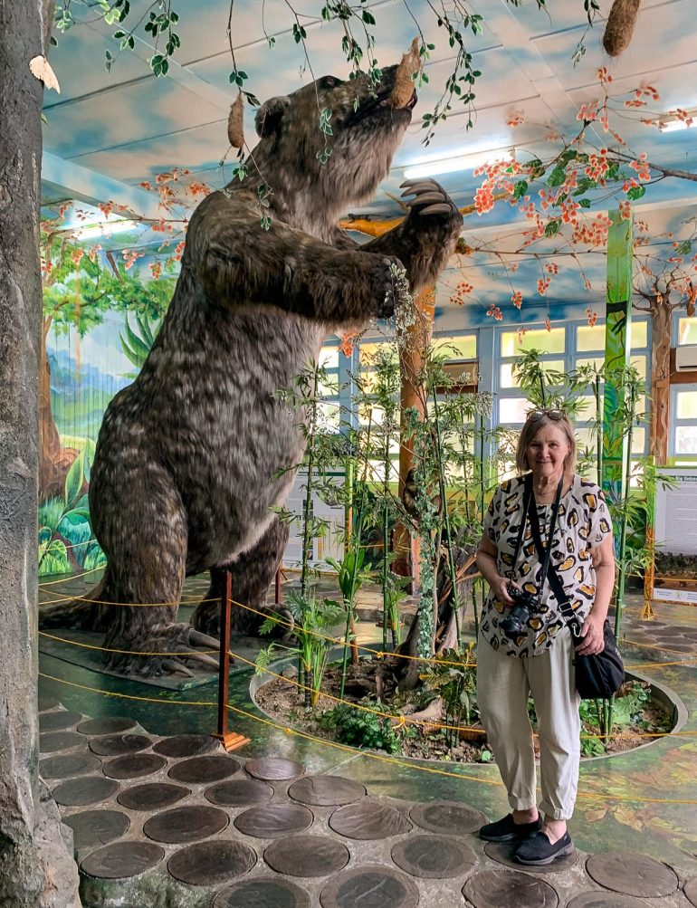 Jättiläislaiskiainen Guyana Guyanan oudot eläimet