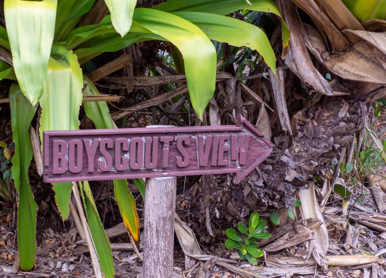 Boyscout's View Kaieteurin putous