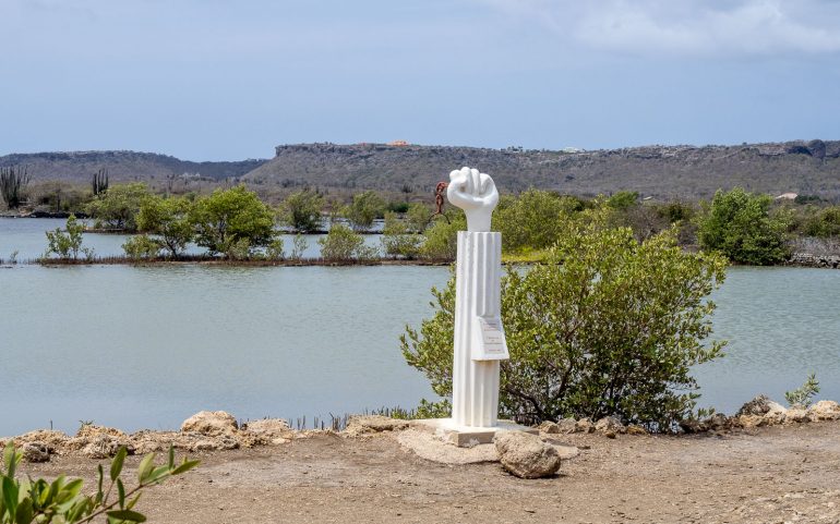 Suolaa ja flamingoja