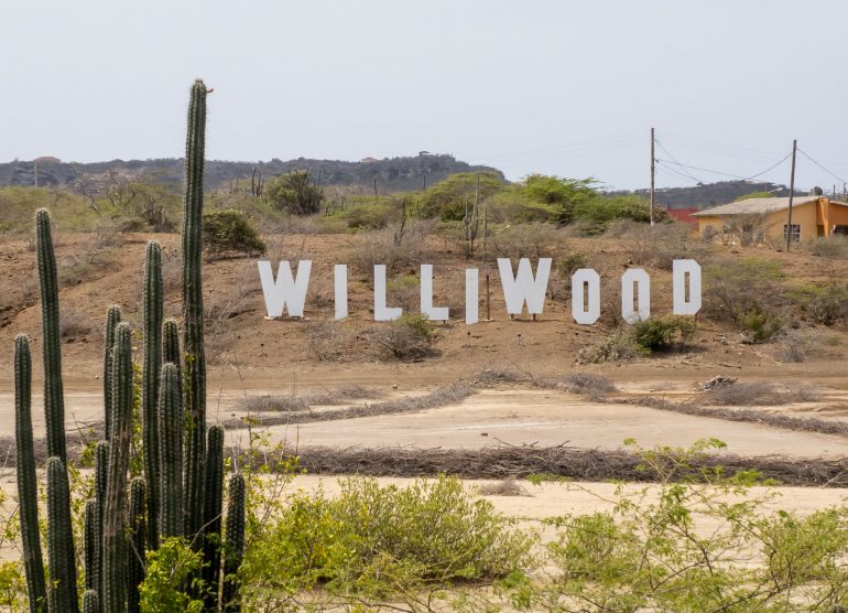 Curacao Williwood