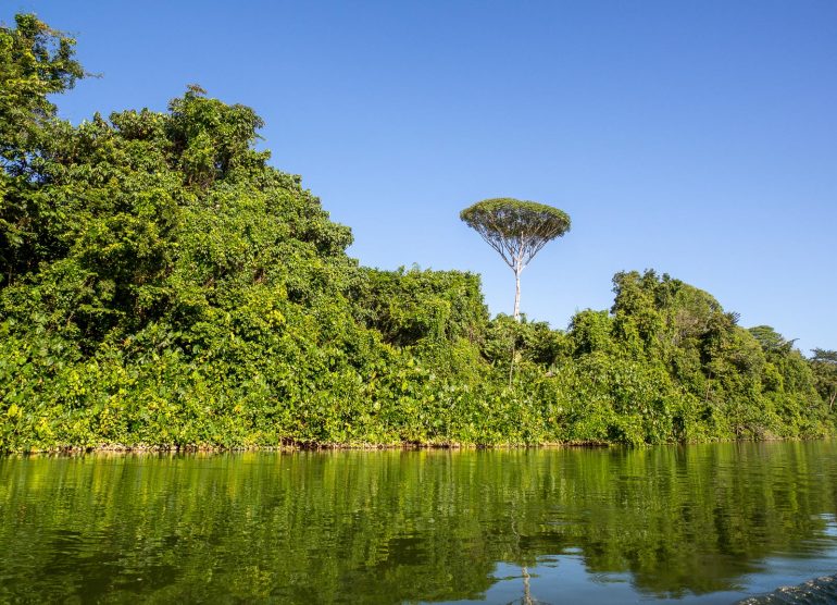 Bergendal Suriname-joki