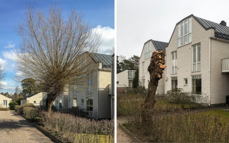 Terijoen salavan leikkaus