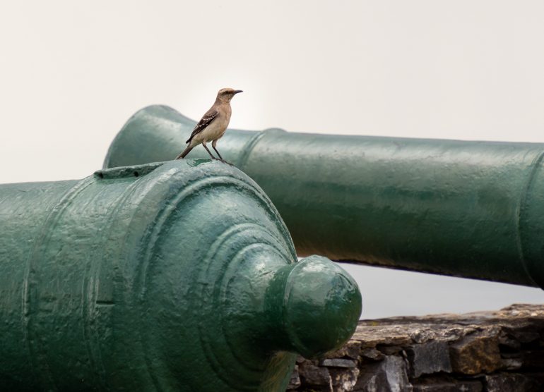 Fort George Port of Spain