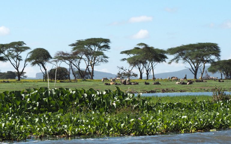Crescent Island Cristo Rei Itä-Timorissa Kaukomatkaunelmia