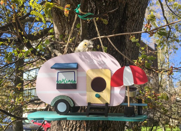 Lidl linnunpönttö Kirsikankukkia