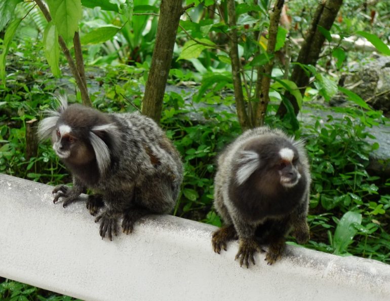 Brasilia Maat ilman pääkaupunkia