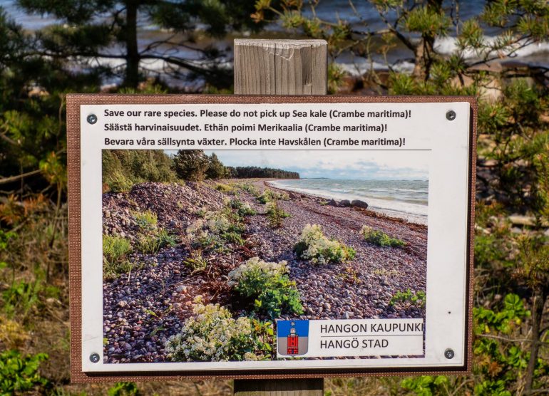 Hanko Tulliniemi Suomen eteläisin piste