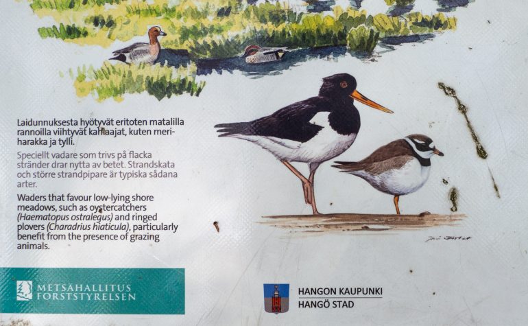 Hanko Tulliniemi Suomen eteläisin piste