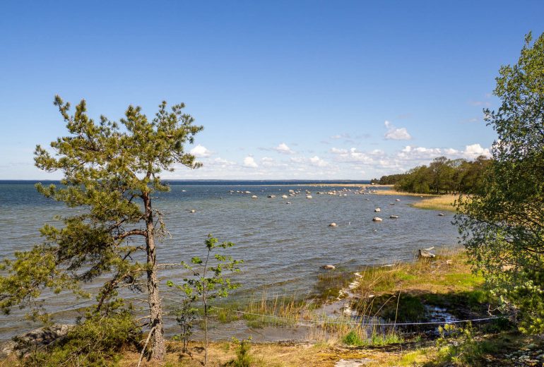 Hanko Tulliniemi