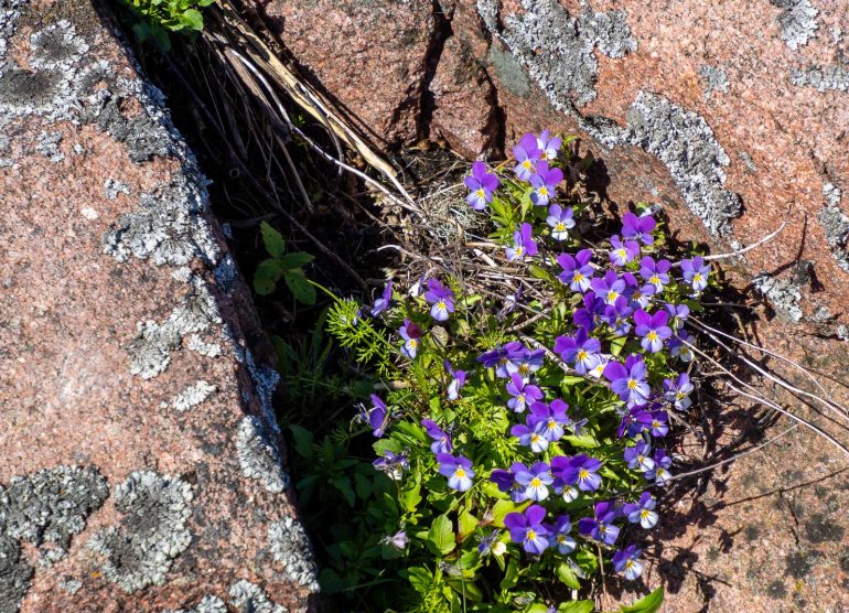 Tulliniemi Suomen eteläisin piste
