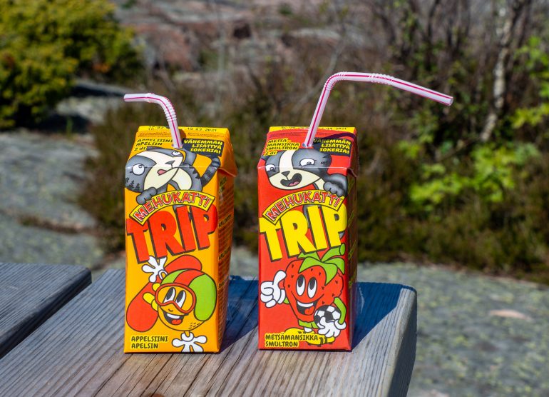 Tulliniemi Suomen eteläisin piste