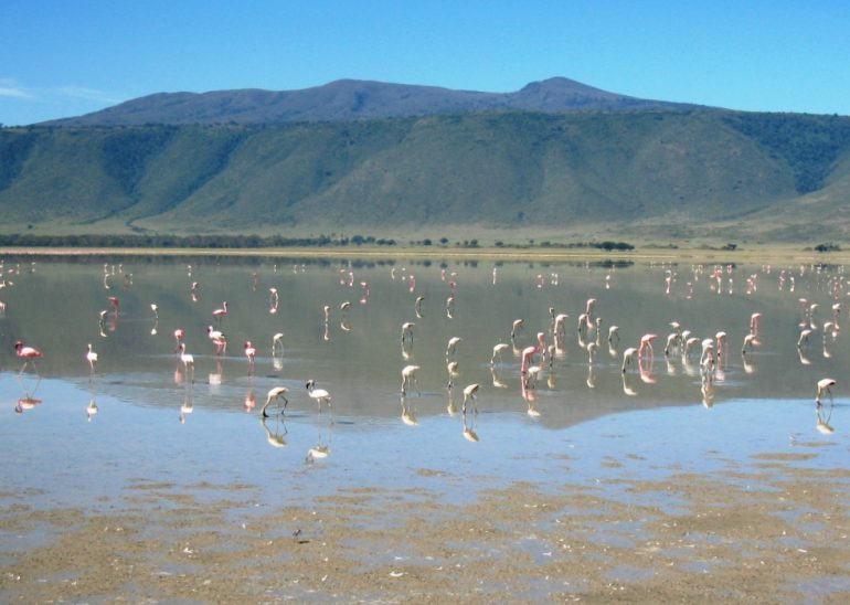 Ngorongoro Tansania
