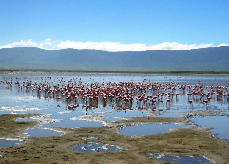 Ngorongoro Tansania kohteena Serengeti