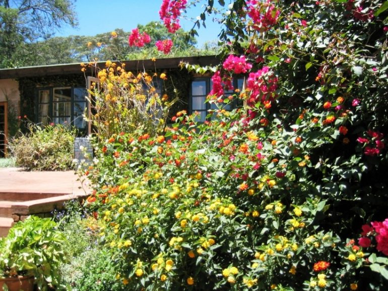 Gibb's Farm Tansania Serengeti