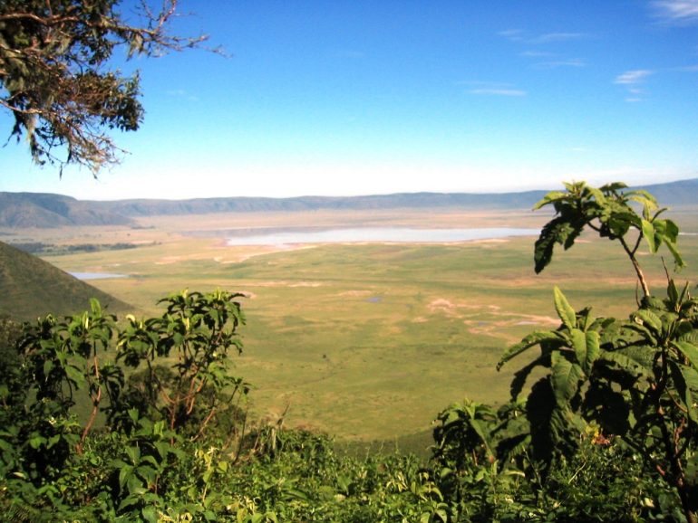 Ngorongoro reitin varrella kohteena Serengeti
