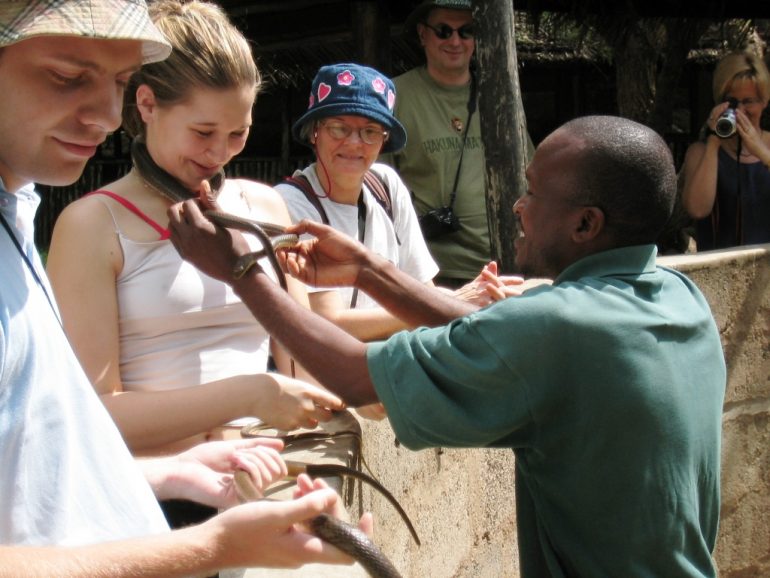 Tansania Käärmeitä - turvallisesti erillisessä matelijapuistossa
