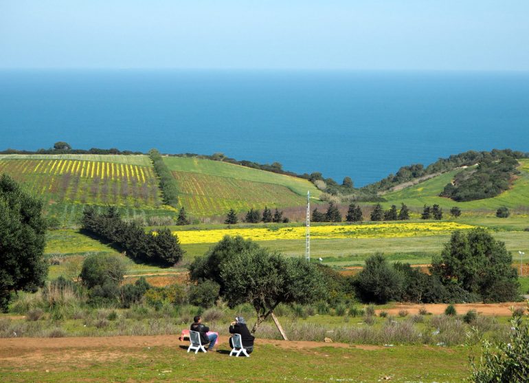 Algeria Millainen matkailija olet?
