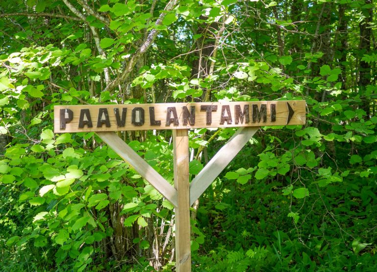 Paavolan tammi