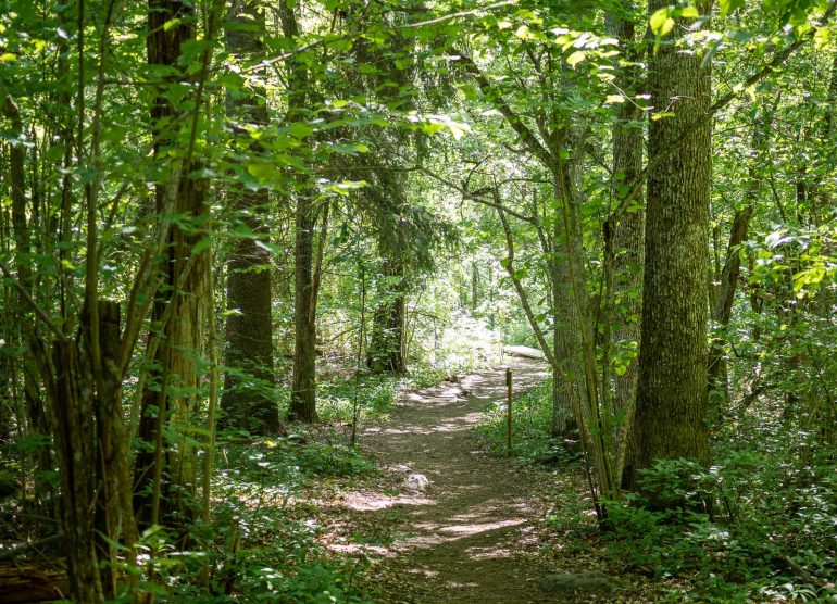 Paavolan luontopolku